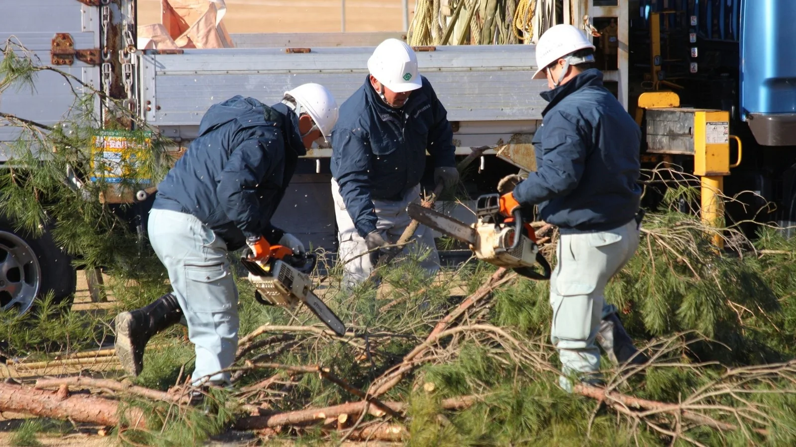 Precision Pruning